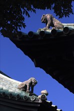 Japan, Tokyo, Kanda, Yushima Seido Confucian Shrine, detail of roof of compound surrounding wall,