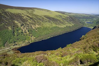 IRELAND, County Wicklow, Glendalough, Vista of the Upper lake from the Spink Trail with Lower Lake