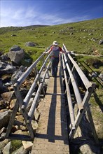 IRELAND, County Wicklow, A hiker crosses a wooden bridge on the Spink Trail.