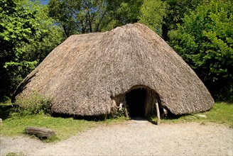 IRELAND, County Wexford, Irish National Heritage Park, Neolithic dwelling  Exterior view.