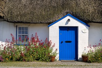 IRELAND, County Weford, Kilmore Quay, Thatched cottage in fishing village renowned for such