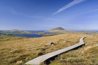 IRELAND, County Galway, Connemara, Diamond Hill, boardwalk protects hikers and environment