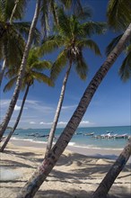 VENEZUELA, Margarita Island, Playa la Galera, View of exotic beach with palm trees and their shades