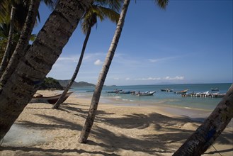 VENEZUELA, Margarita Island, Playa la Galera, View of exotic beach with palm trees and their shades