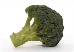 FOOD, Vegetables, Broccoli Floret.