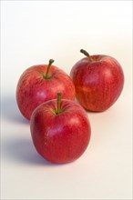 Food, Fruit, Apples, Three ripe red apples against on a white background.