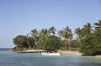 Domincan Republic, Samana Peninsula, Cayo Levantado, Bacardi island, Palm tree lined shore, wooden