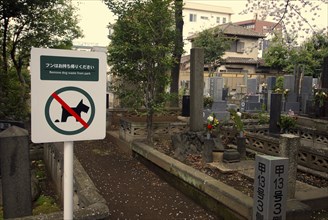 Japan, Tokyo, Nippori, sign in cemetary, remove dog waste from park, accompanying picture of dog