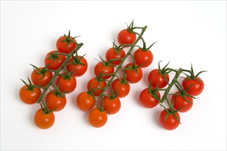 Food, Fruit, Tomato, Ripe red cherry tomatoes on the vine against a white background.