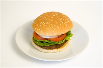 Food, Cooked, Hamburger, Single quarter pound burger with onoin tomato and lettuce in a bun on a