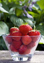 Food, Fruit, Strawberry, Glass bowl with ripe summer strawberries on a stone bench in a garden.