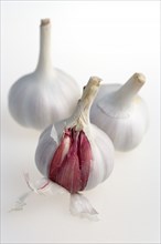 Food, Herbs, Garlic, Three bulbs of garlic Allium sativum with cloves revealed against a white