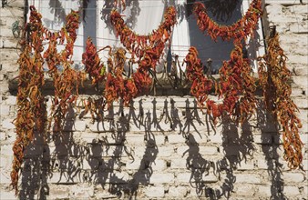 Kusadasi, Aydin Province, Turkey. Strings red and orange chilies hung up to dry in late afternoon