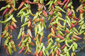 Kusadasi, Aydin Province, Turkey. Strings of brightly coloured chilies hanging up to dry in late