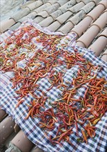 Sirince, Aydin Province, Turkey. Brightly coloured chilies laid out to dry in late afternoon summer