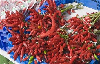 Vienna, Austria. Bunches of red chillies for sale on market stall. Austria Austrian Republic Vienna