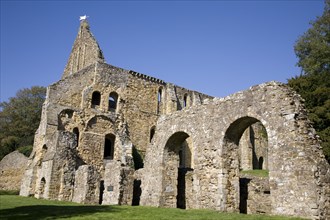 Battle, East Sussex, England. Ruins of abbey crypt . England English UK United Kingdom GB Great