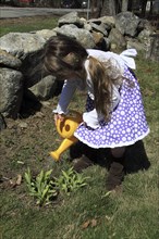Young girl Kylan Stone waters plants in garden with a plastic watering can in Keene New Hampshire.