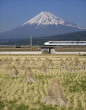 Mount Fuji, Honshu, Japan. Mount Fuji with Shinkansen bullet train passing through rice fields.