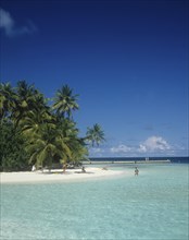 Beach, Maldives. Beach with tourist sunbathing and swimming in the Indian Ocean. Maldives Island