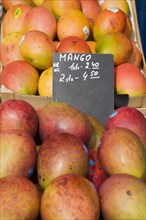 Vienna, Austria. Mangoes for sale on market stall. Austria Austrian Republic Vienna Viennese Wien