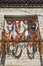 Kusadasi, Aydin Province, Turkey. Strings of red and orange chilies hung up to dry in late