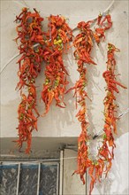 Kusadasi, Aydin Province, Turkey. Strings of bright red and orange coloured chilies drying in late