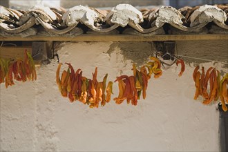 Kusadasi, Aydin Province, Turkey. Strings of brightly coloured orange and yellow chilies hanging