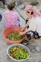Sirince, Aydin Province, Turkey. Women preparing red and green chilies outside in late afternoon