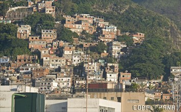 Rio de Janeiro, Brazil. Favela or slum on hillside above Copacabana neighbourhood greenery and