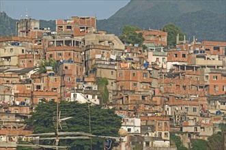 Rio de Janeiro, Brazil. Favela or slum on hillside above Copacabana neighbourhood bedcovers and