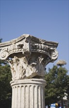 Selcuk, Izmir Province, Turkey. Detail of Corinthian column at the site of the Temple of Artemis