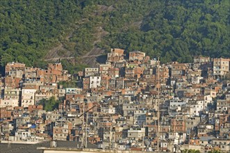 Rio de Janeiro, Brazil. Favela or slum on hillside above Copacabana neighbourhood steep road