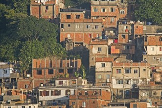 Rio de Janeiro, Brazil. Favela or slum on hillside above Copacabana neighbourhood red brick houses