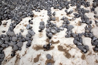 Birling Gap, East Sussex, England. Pebbles of various sizes deposited on chalk shelf by the sea.