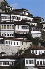 Albania, Berat, Ottoman houses in the old town with white painted exteriors and tiled roof tops