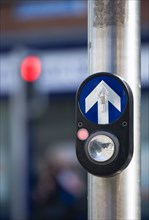 Ireland, County Dublin, Dublin City, Traffic light controlled pedestrian crossing button with halt