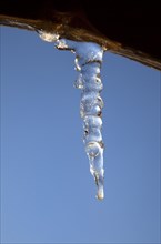 Weather, Winter, Ice, Icicles hanging from household facia panel.