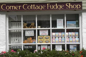 England, Cornwall, Polperro, Corner Cottage Fudge Shop window display
