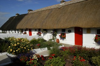Ireland, Waterford, Dunmore East, View along row of small thatched cottages with red doors and