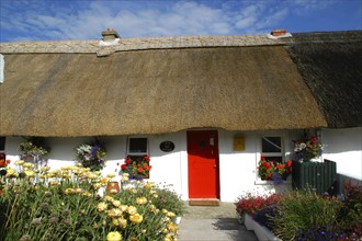 Ireland, Waterford, Dunmore East, Small thatched cottage with red painted door