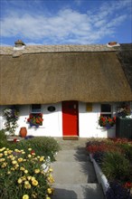 Ireland, Waterford, Dunmore East, Small thatched cottage with red painted door and floral garden