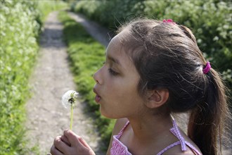 Children, Playing, Outdoor, A nine year old girl blowing dandelion seeds.