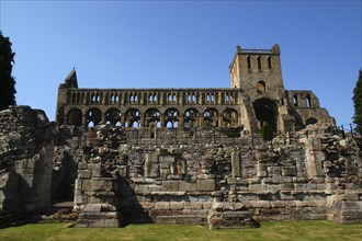 Scotland, Scottish Borders, Jedburgh, Jedburgh Abbey ruins that date from as early as the 9th