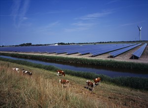 Germany, Schleswig -Holstein, Environment, Field of solar panels on the north-west coast with