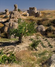 Sword Valley landscape of eroded rock formations.. Photo : Hugh Rooney