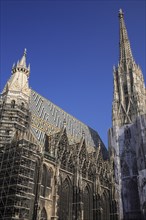 Stephansdom Cathedral under scaffolding for repair. Photo : Bennett Dean