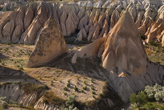The Rose Valley. Ochre and white volcanic tufa landscape of peaks and pinnacles. Photo : Hugh