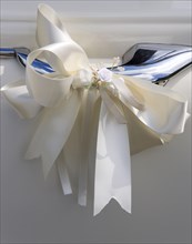 Cream ribbon tied in bow on door handle of vintage white Daimler wedding car. Photo: Paul Seheult
