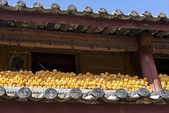 Yuhu Village Corn cobs drying in the sun beneath the roof of a farm building. Photo : Mel Longhurst
